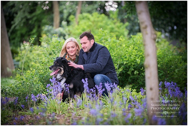 Dog photography in Liverpool by Samantha Brown Photography